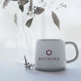 Tema 1 blog