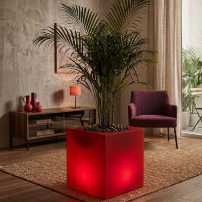 Diseno sin titulo v20