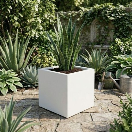 Maceta aura blanco 640x480