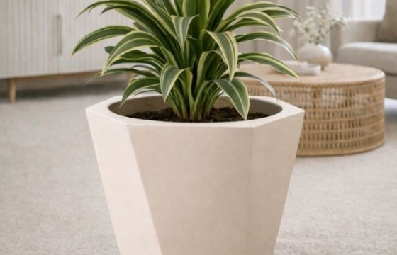 maceta beige 600x600