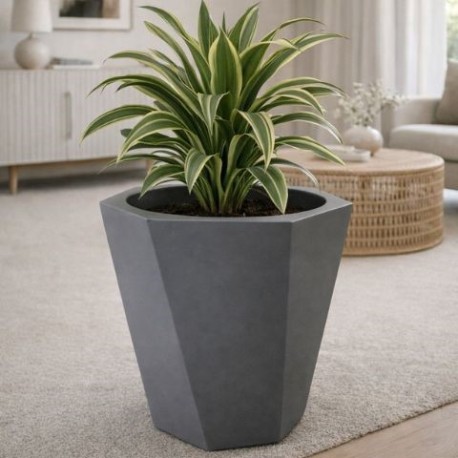 maceta gris 640x480